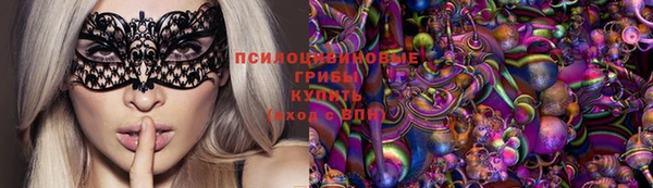 apvp Балахна