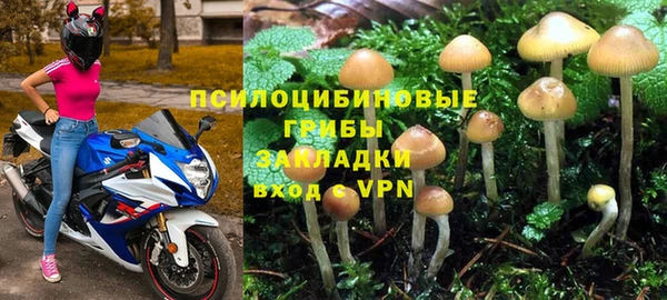 apvp Балахна