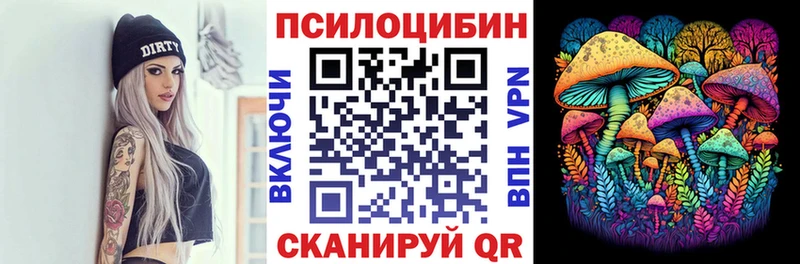 закладки  Пудож  Галлюциногенные грибы Psilocybe 